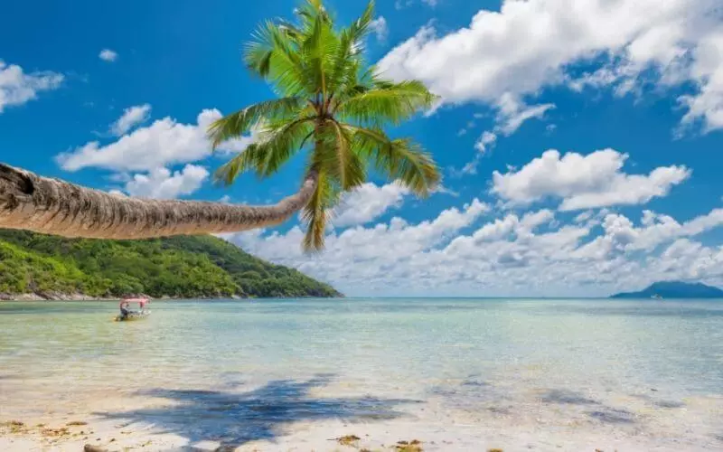 Goa-Package-for-Couples
