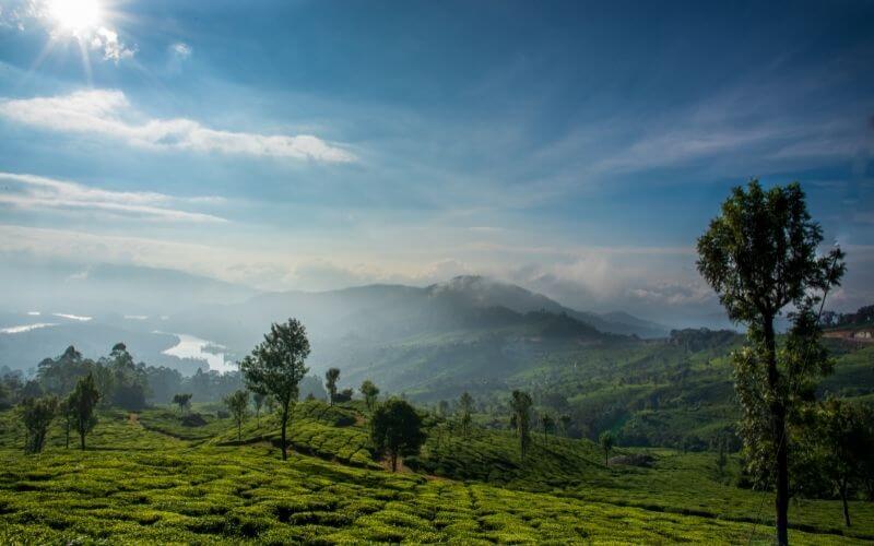Kerala-Honeymoon-Package-Cost