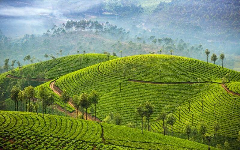 Kerala-Trip-Package-for-Couples