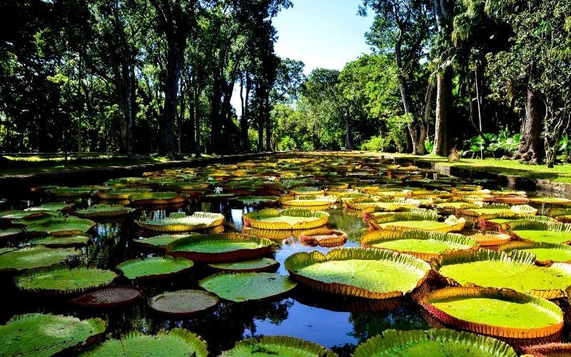 Mauritius-Trip-Package-for-Couples