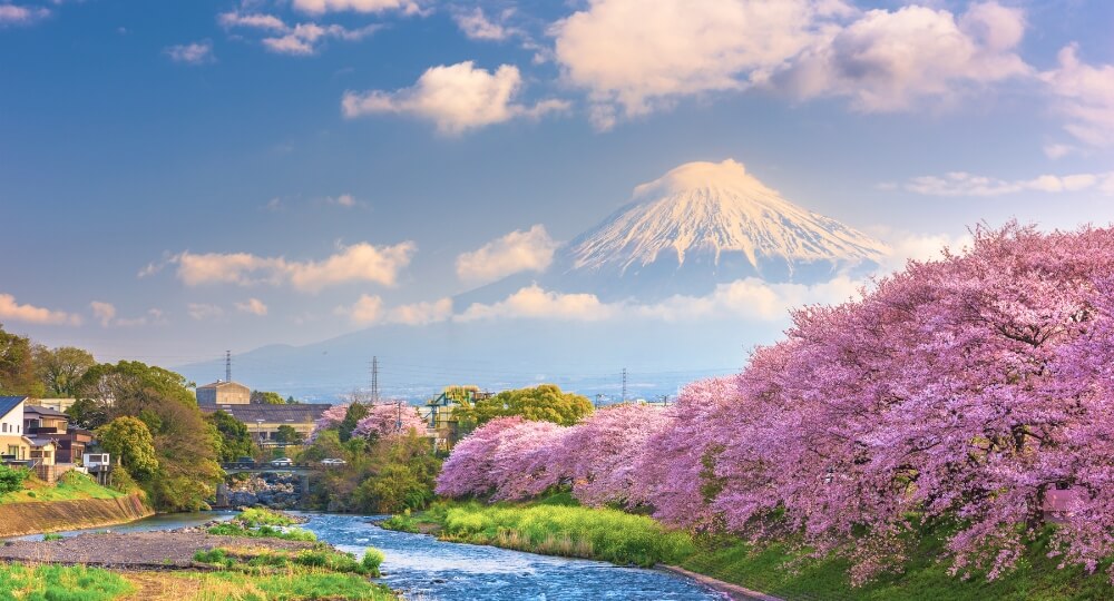 japan-holiday-package-from-india