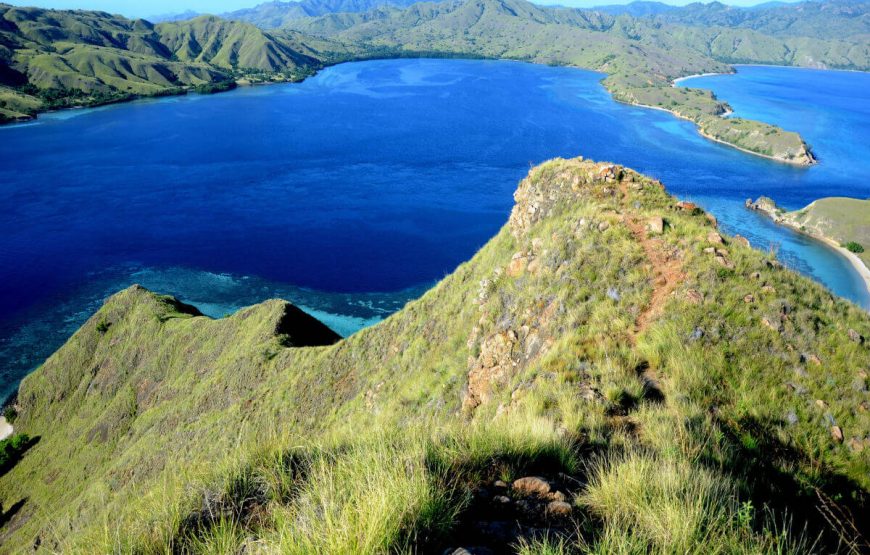 10Komodo-View-Par