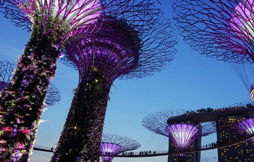 11bay-of-garden-singapore