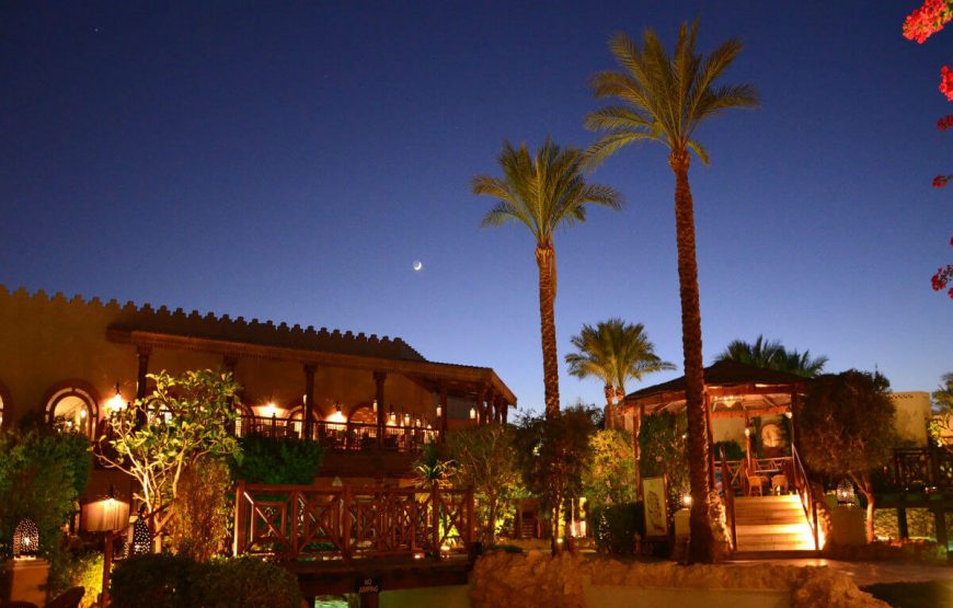 14Egypt-sharm-el-sheikh-sinai-palms