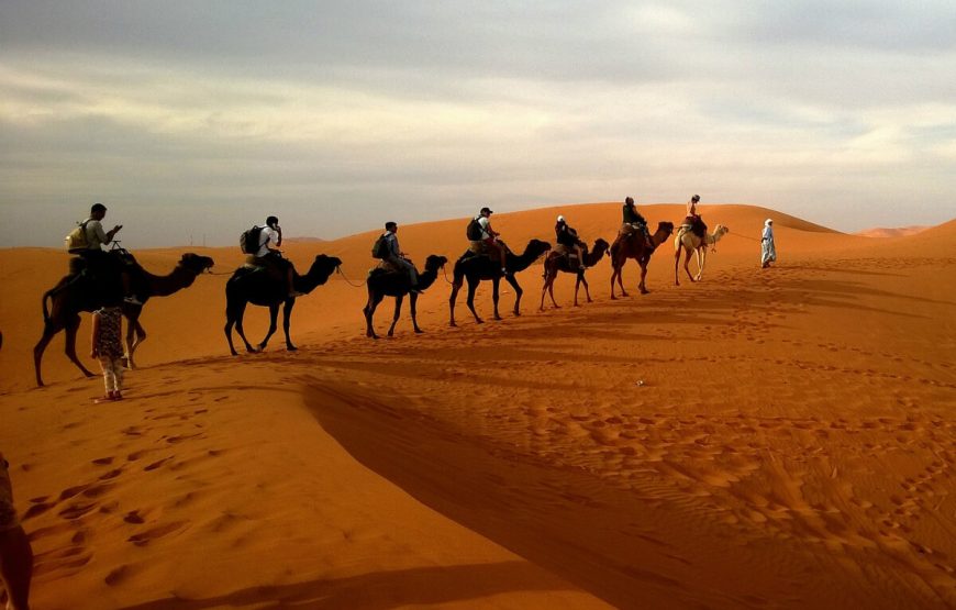 17Desert-Safari