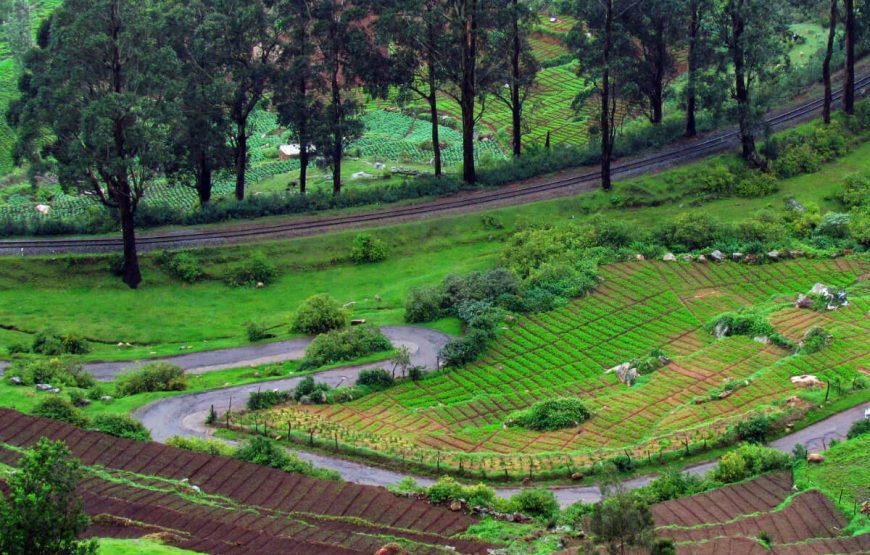 2Ooty-Agriculture-Green-Mountain-Nature