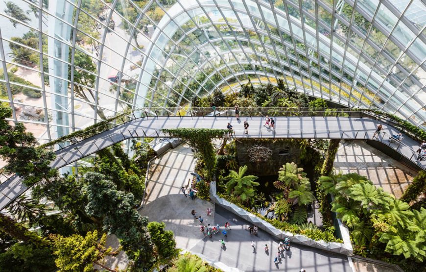 2garden-by-the-bay-singapore-trip