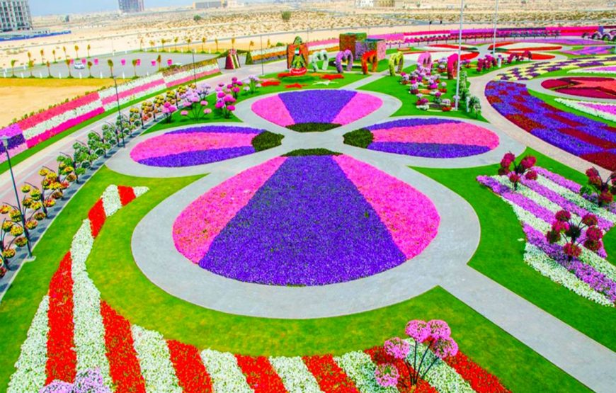7Miracle-Garden