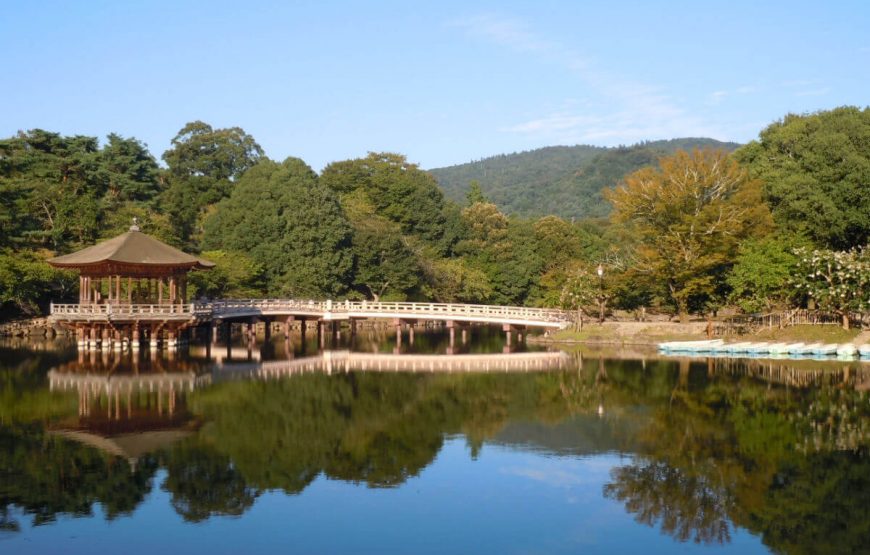8Nara-tour-package