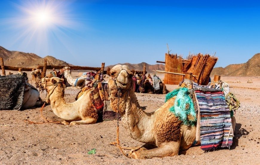 8best-places-to-visit-in-dubai