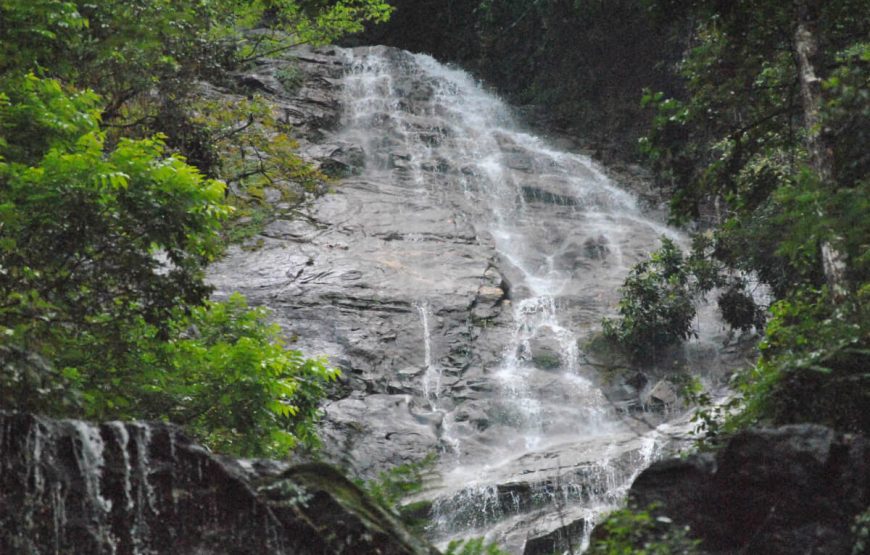 Darjeeling-family-trip-package