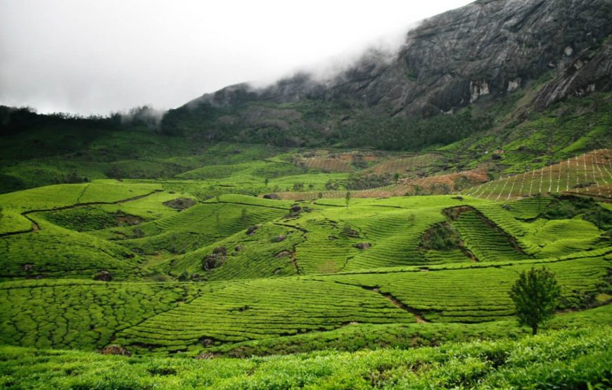 Devikulam-holiday-trip-packages