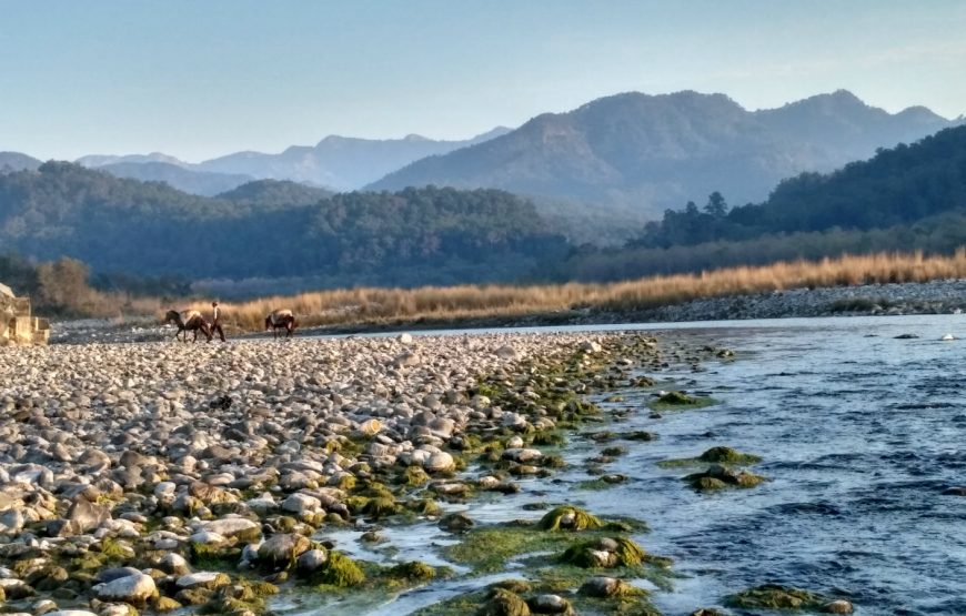 Kosi-River-Corbett-National-Park