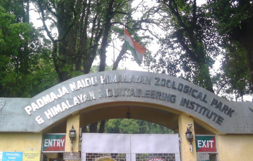 Padmaja-Himalayan-Zoological-Park-Sikkim