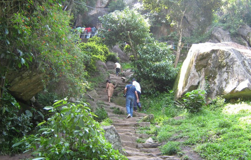 Wayanad-tour-packages