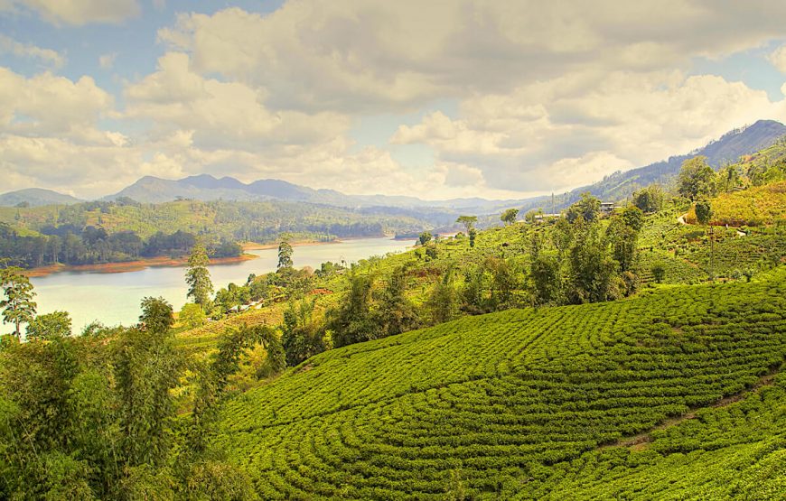 best-darjeeling-trip