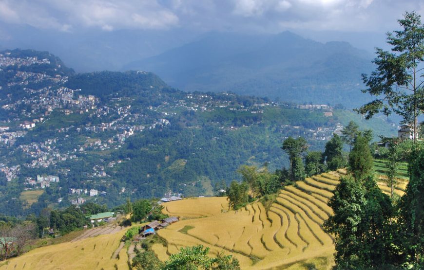 gankot-holiday-trip