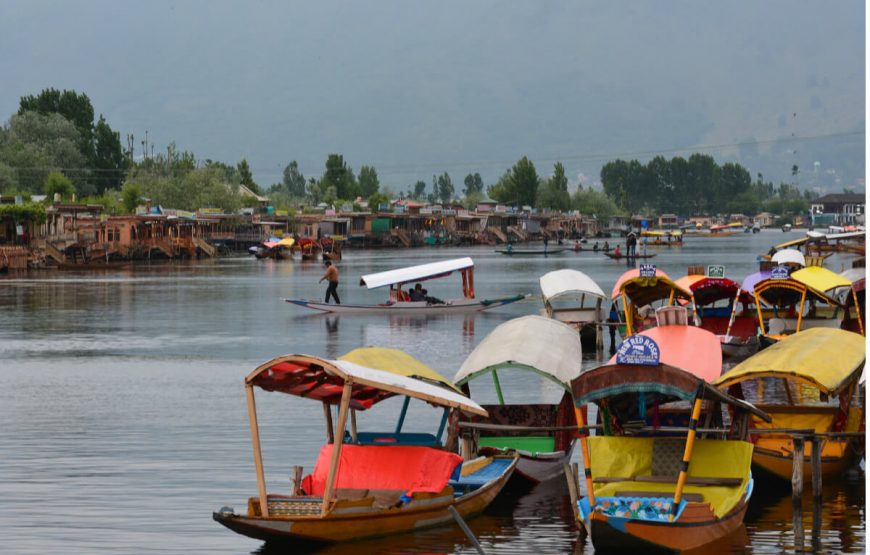 srinagar-Dal-Lake-boating
