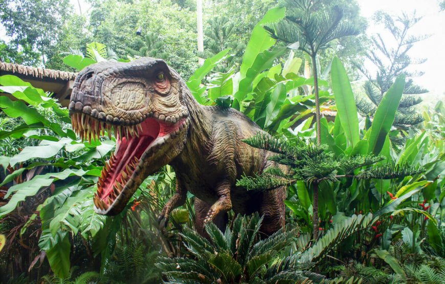 8Singapore-Zoo