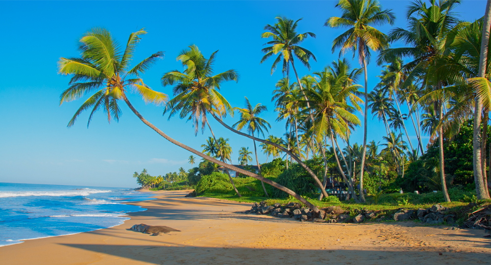 sri-lanka-holiday-package