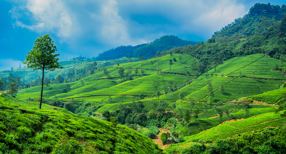 sri-lanka-package